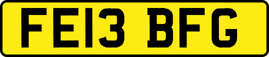 FE13BFG