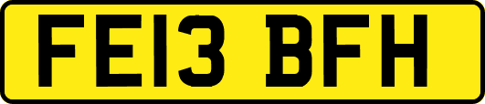 FE13BFH