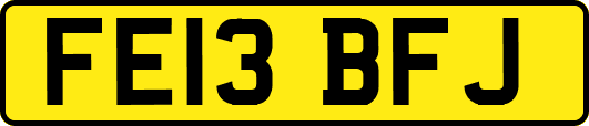 FE13BFJ