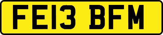 FE13BFM