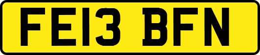 FE13BFN