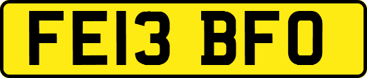 FE13BFO