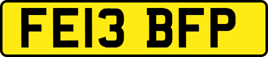 FE13BFP