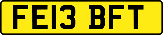 FE13BFT