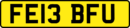 FE13BFU