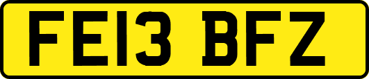FE13BFZ