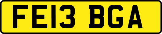 FE13BGA