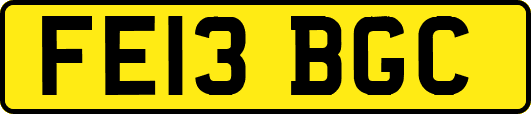 FE13BGC