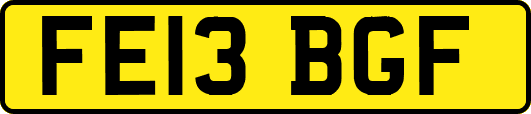 FE13BGF