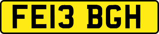 FE13BGH
