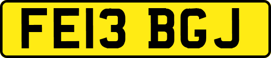 FE13BGJ