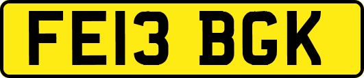 FE13BGK