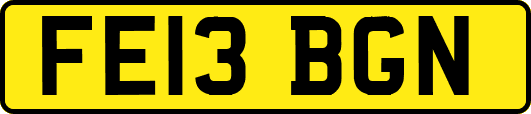 FE13BGN
