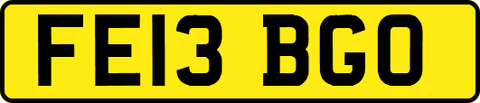 FE13BGO
