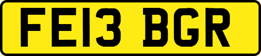 FE13BGR