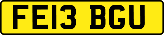 FE13BGU