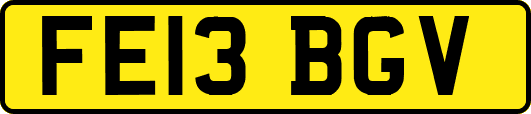 FE13BGV