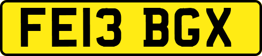 FE13BGX