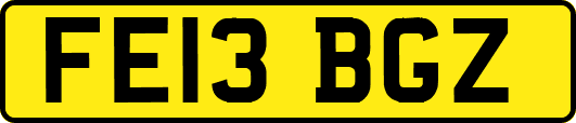 FE13BGZ