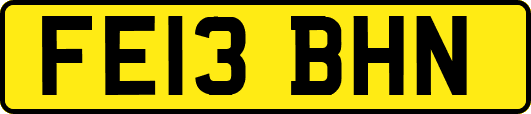 FE13BHN