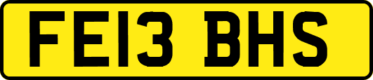 FE13BHS