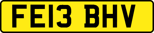 FE13BHV