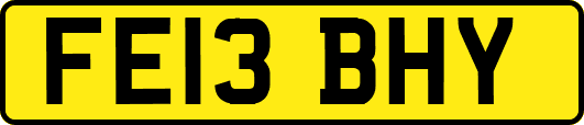 FE13BHY