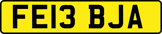 FE13BJA