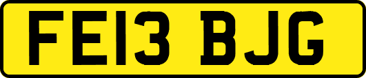 FE13BJG