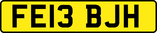 FE13BJH