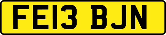 FE13BJN