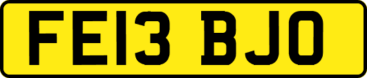 FE13BJO