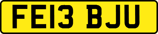 FE13BJU