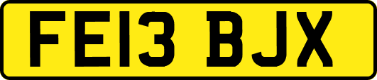 FE13BJX