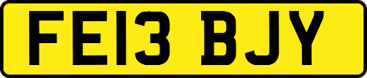 FE13BJY