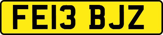 FE13BJZ