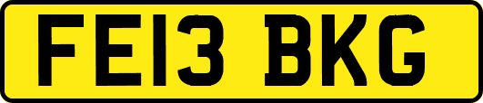 FE13BKG