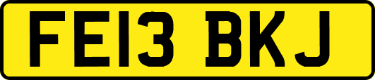 FE13BKJ