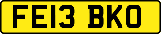 FE13BKO