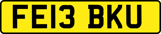 FE13BKU