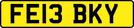 FE13BKY