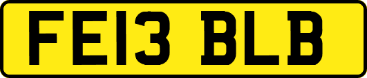 FE13BLB