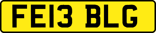 FE13BLG