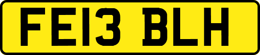 FE13BLH