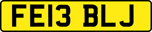 FE13BLJ
