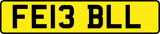 FE13BLL