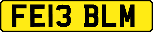 FE13BLM