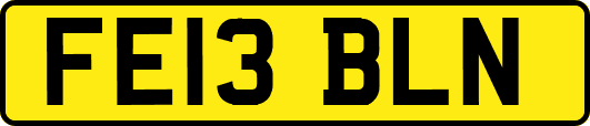FE13BLN
