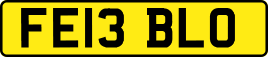 FE13BLO