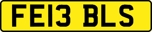 FE13BLS